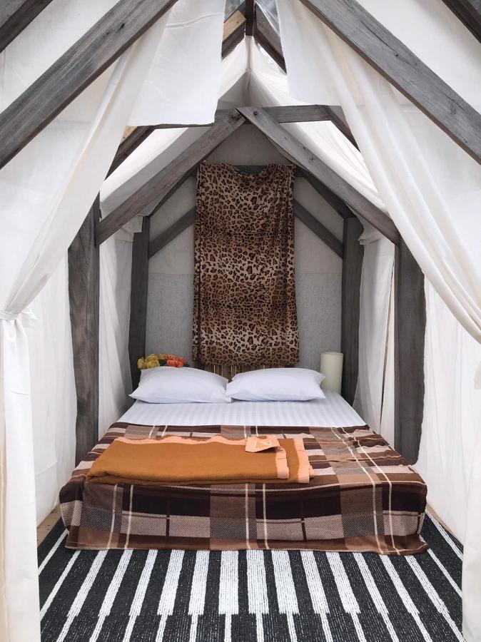 Terre Terrace Glamping - Doichang Ban Huai Khai Ngoại thất bức ảnh